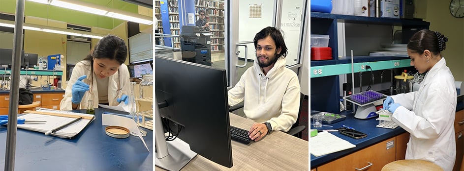 Summer Undergraduate Research Fellowships (SURF)