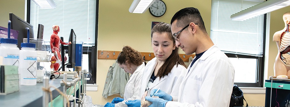 Brooklyn Biology Department