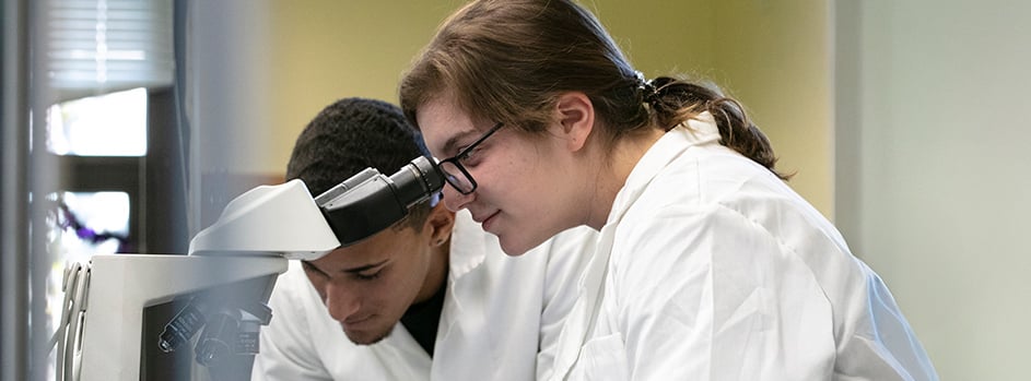 Brooklyn Biology Minor