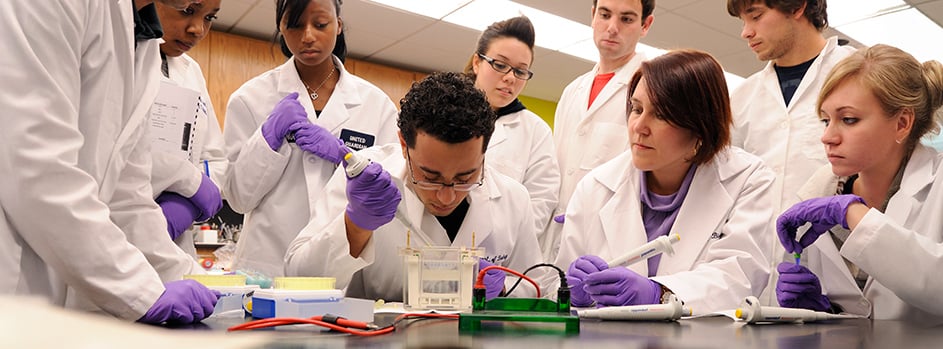 Long Island Biology Department