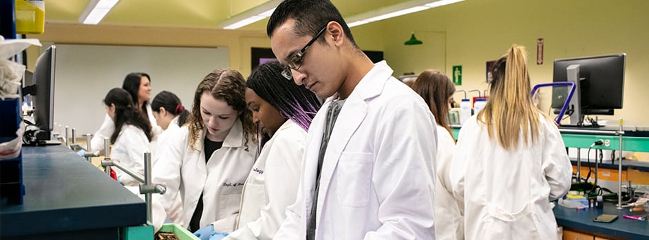 Doctor of Pharmacy Partnership with Albany College of Pharmacy and Health Sciences