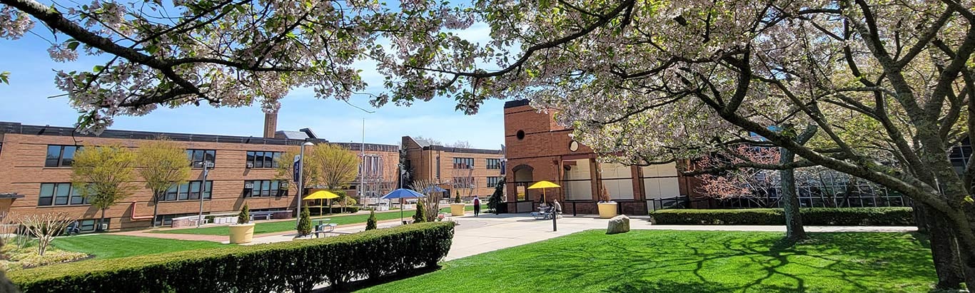 Learn more about SJNY