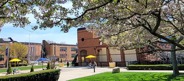 Learn more about SJNY