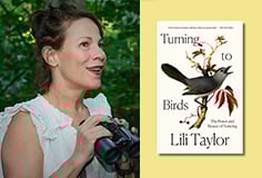Turning to Birds: The Power and Beauty of Noticing — Lili Taylor