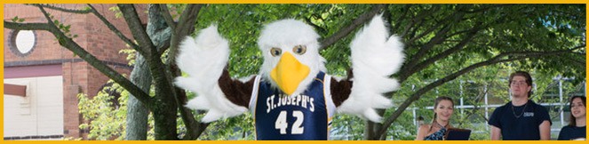 Student Resources | St. Joseph's University, New York